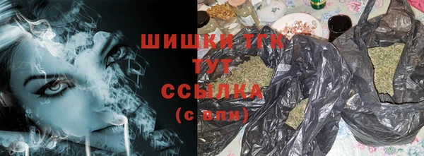 стафф Верхний Тагил