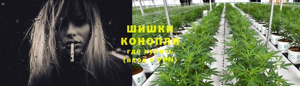 тгк Верея